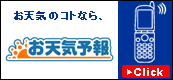 MTI���V�C�\��T�C�g��